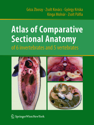 cover image of Atlas of Comparative Sectional Anatomy of 6 invertebrates and 5 vertebrates